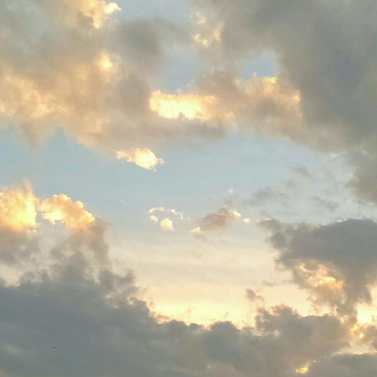 原耽中值得摘抄的句子