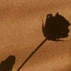 ᝰ低于海平面ᝰ的专辑