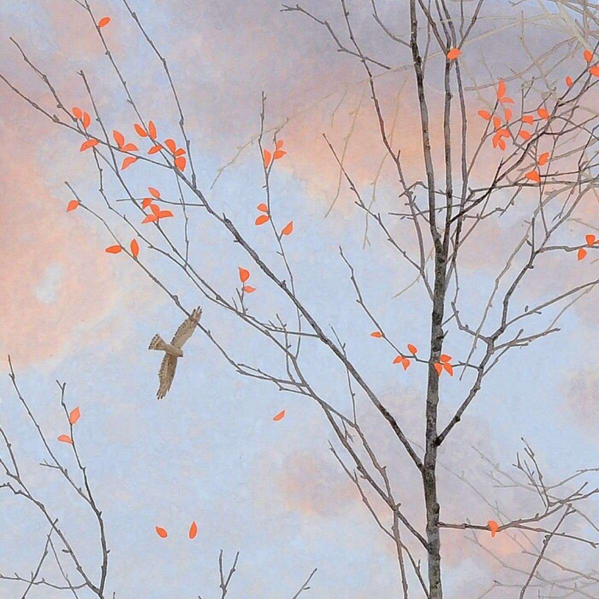 💍我喜欢的吼吼✨