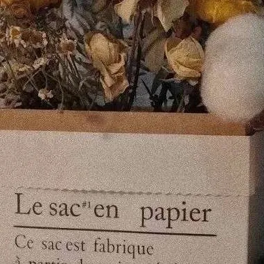母爱
