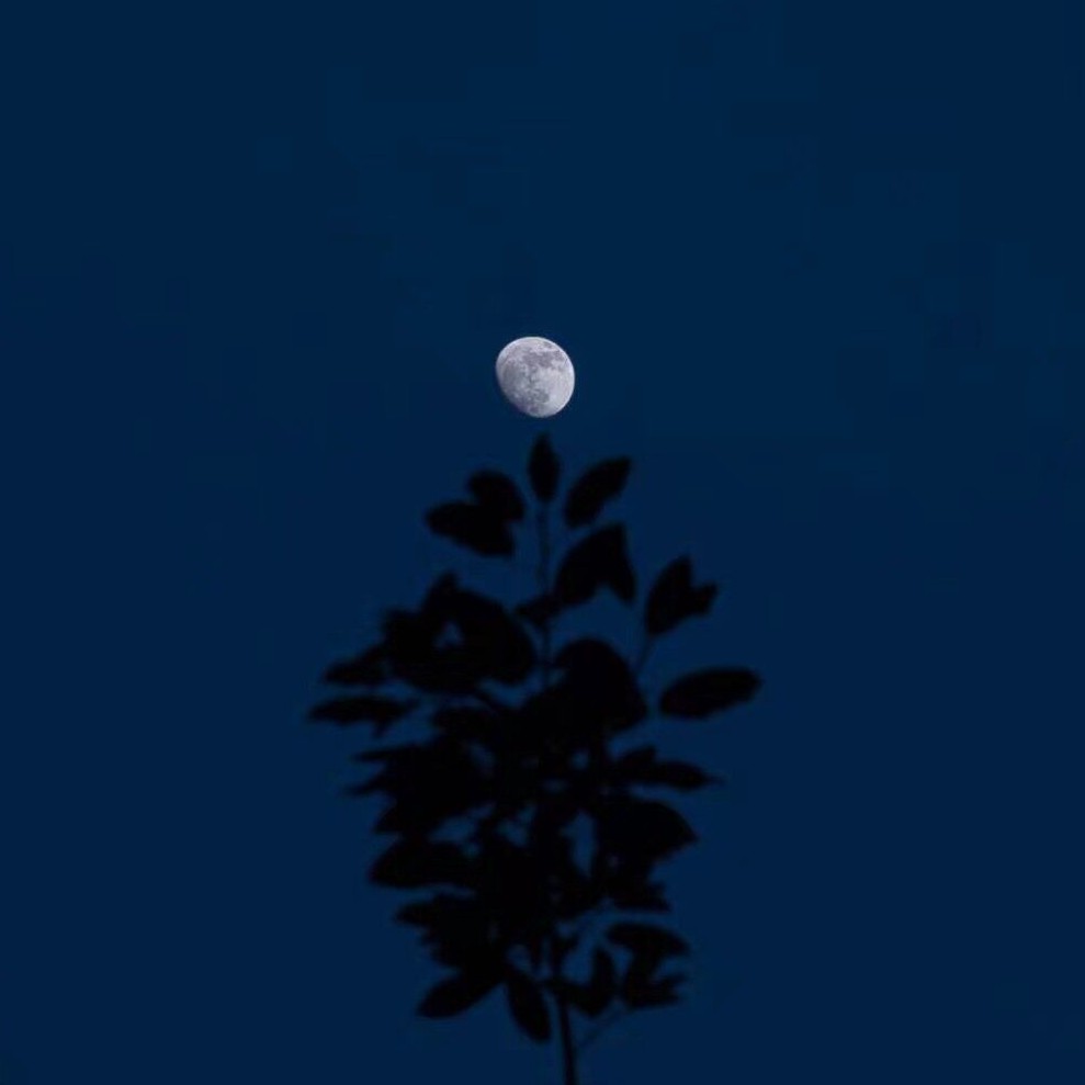 自愈自己的句子