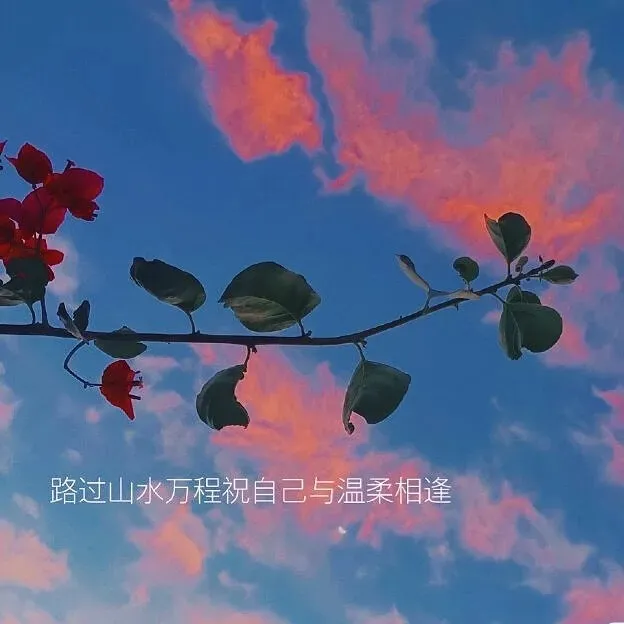 鲜衣怒马少年时