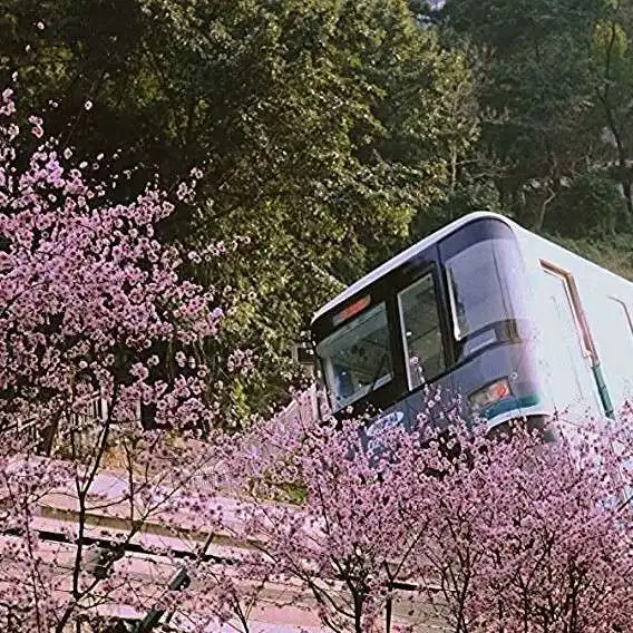 优美句子