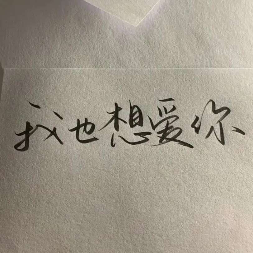 Y.的专辑