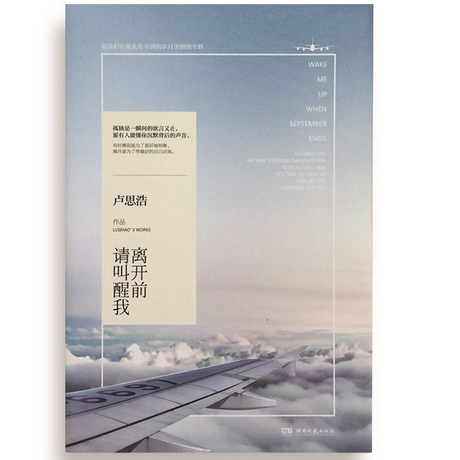 《离开前请叫醒我》