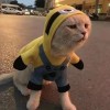 ^浅若夏沫^的专辑