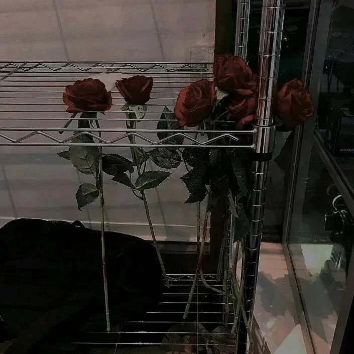 光遇里的那个Ta