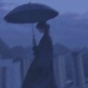 名柯
