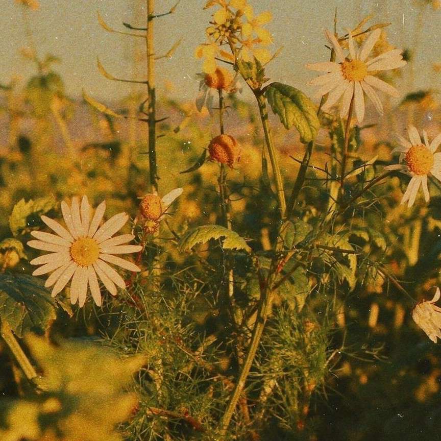 你的人生，我的人生