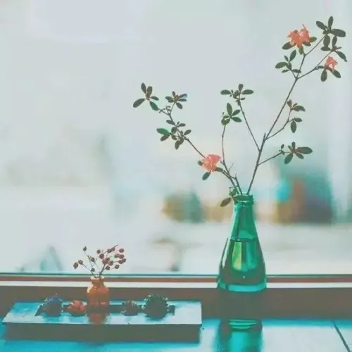 他们说的一些