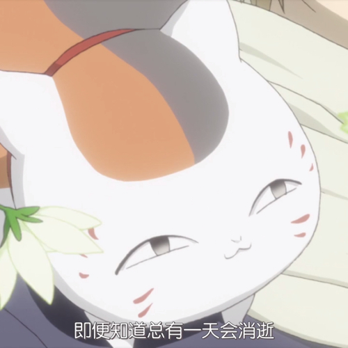 他们的一些荒诞美丽的世事