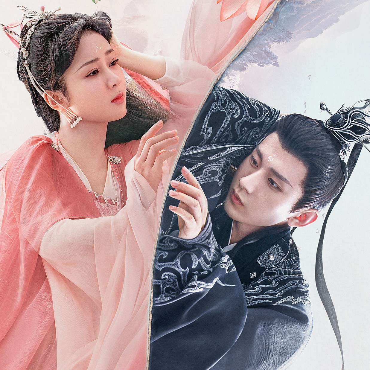 你可懂我！？……