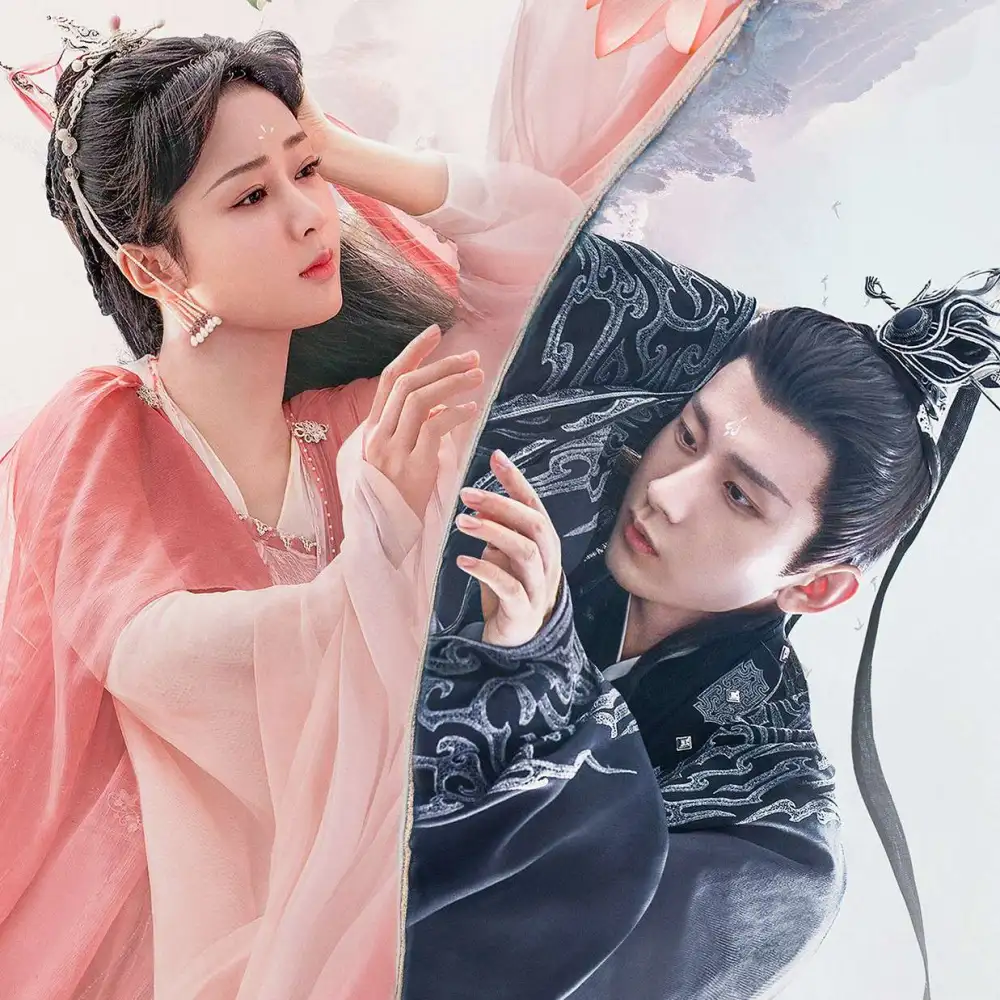 你可懂我！？……