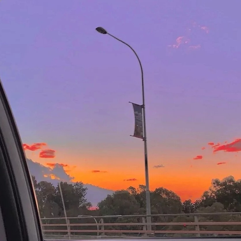 可以写进作文的句子