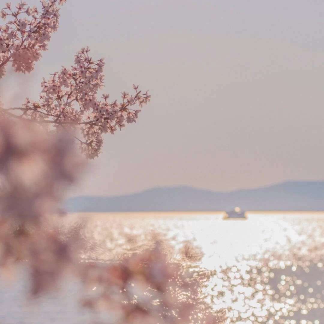 舒淇情感专辑小句