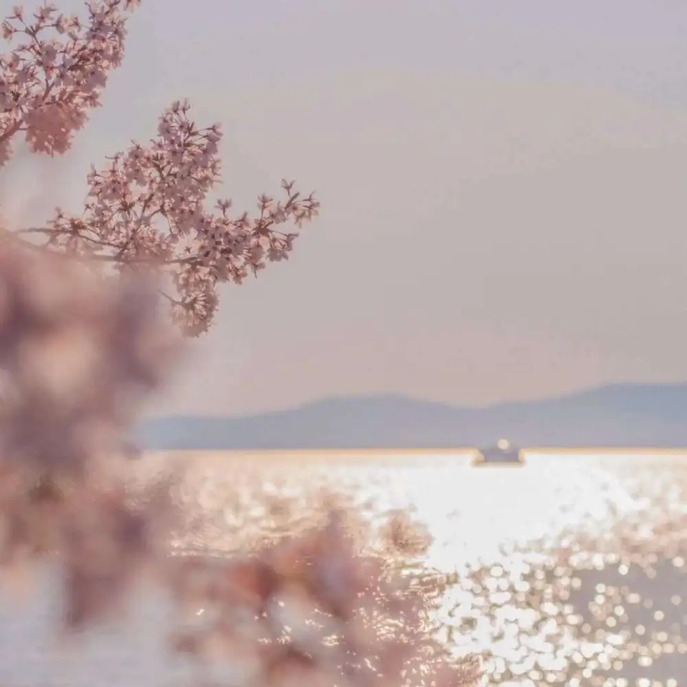 舒淇情感专辑小句