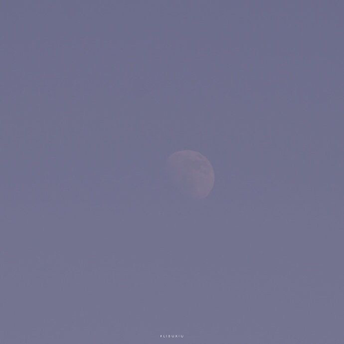 不言情而情自深