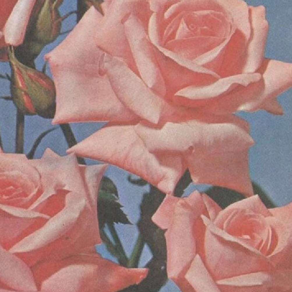 邱慧慧呀～的专辑