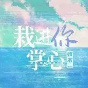 栽进你掌心【张不一】