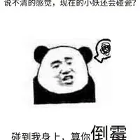 不要乱碰瓷【红刺北】