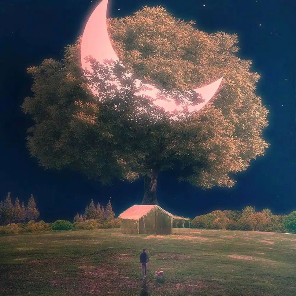 是写进作文里的句子哇