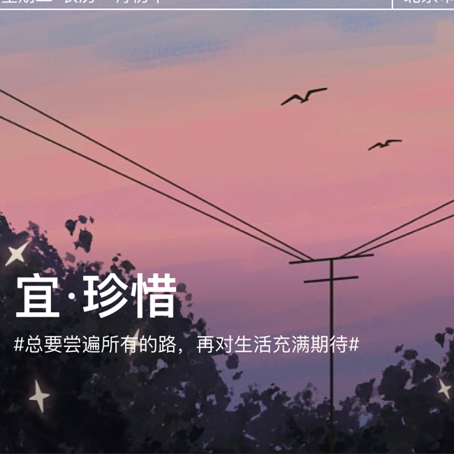 适合写进作文的句子