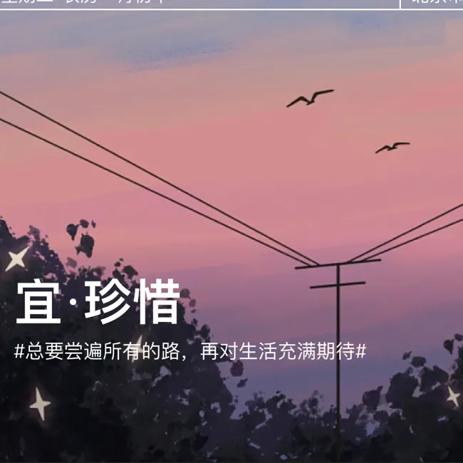 适合写进作文的句子