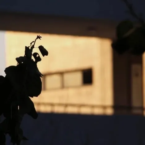 总有话对自己说