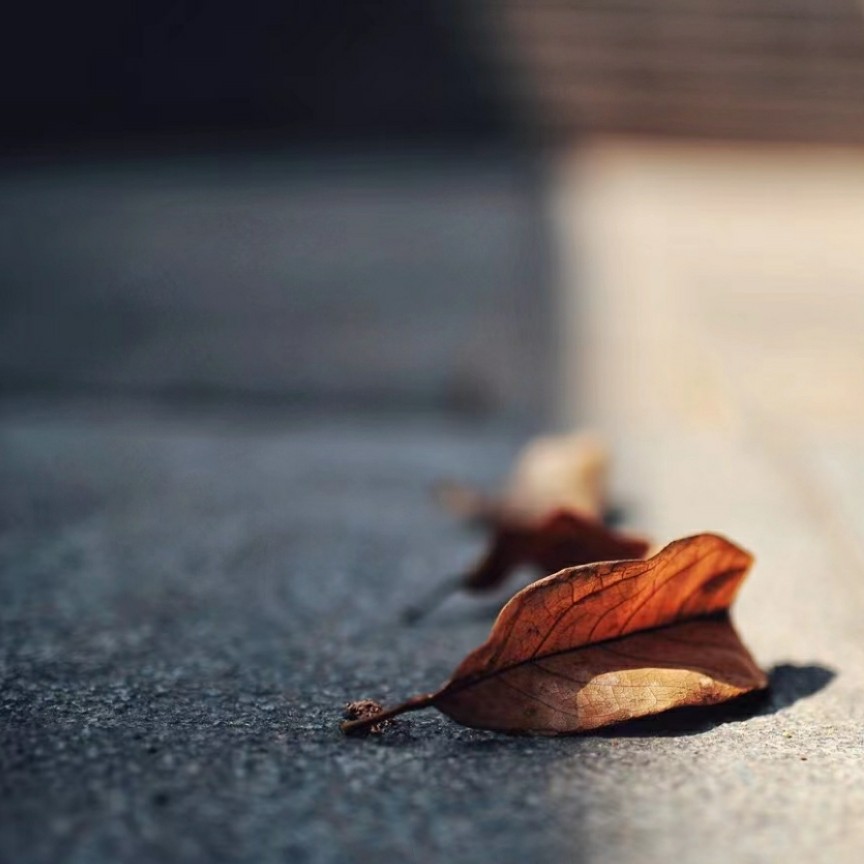 握不住的沙的专辑