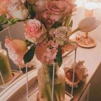 来自文科生的浪漫语录