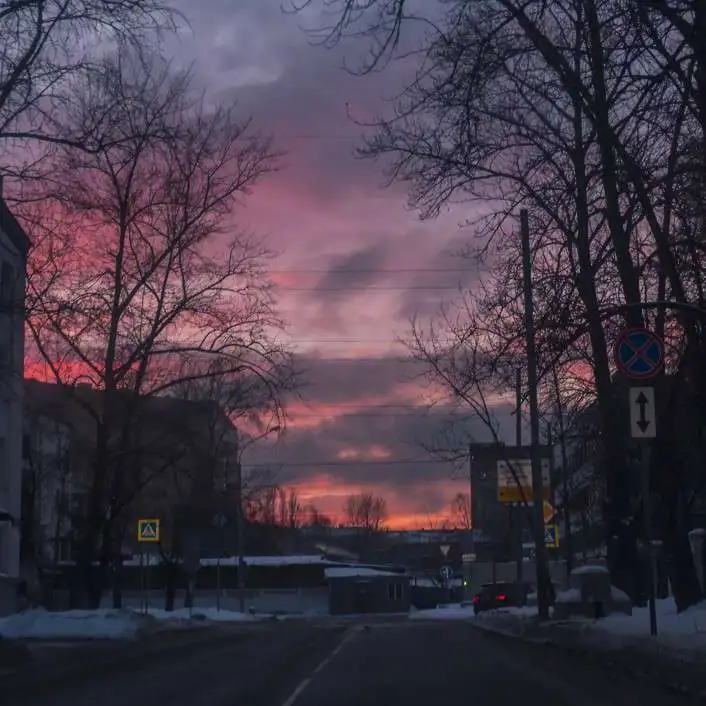 可以写进作文的美好句子