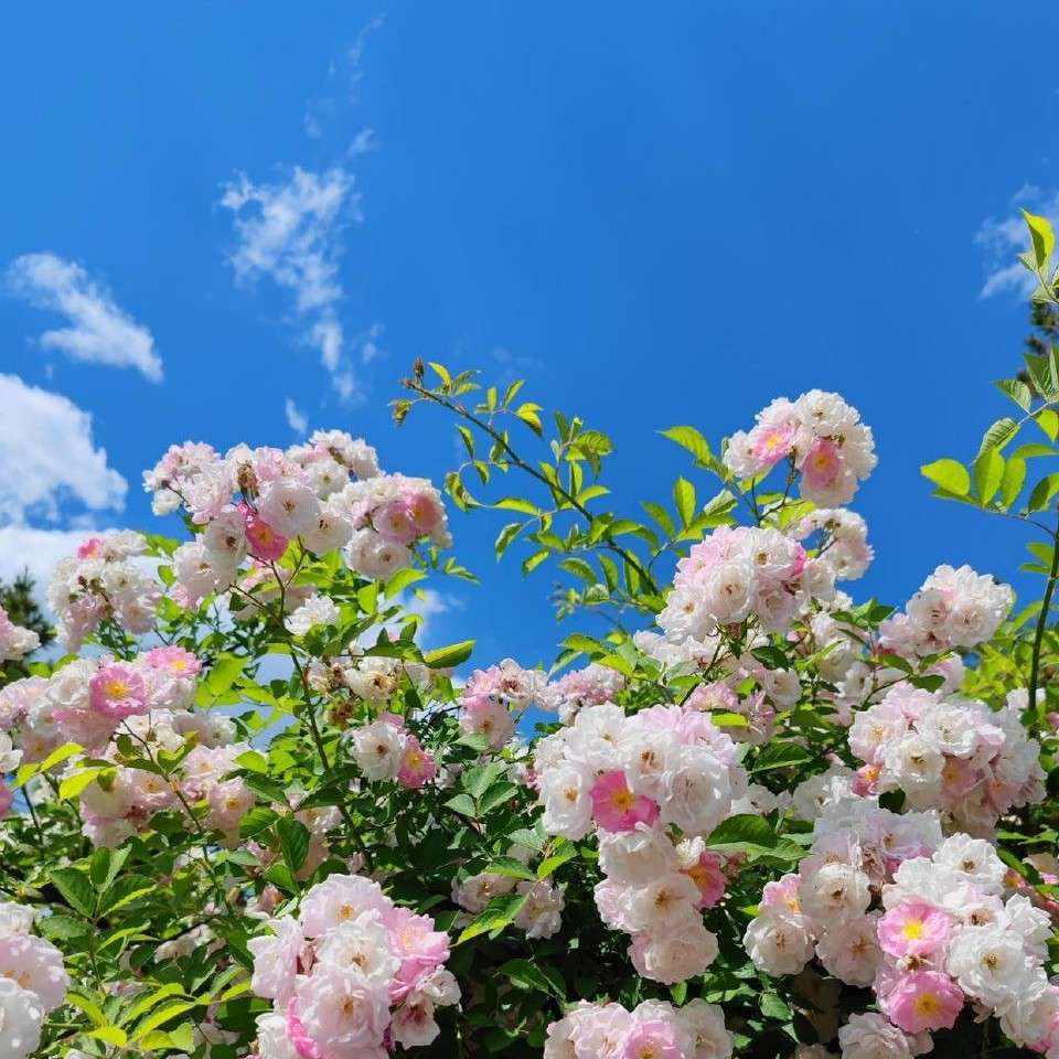 《最好的我们》