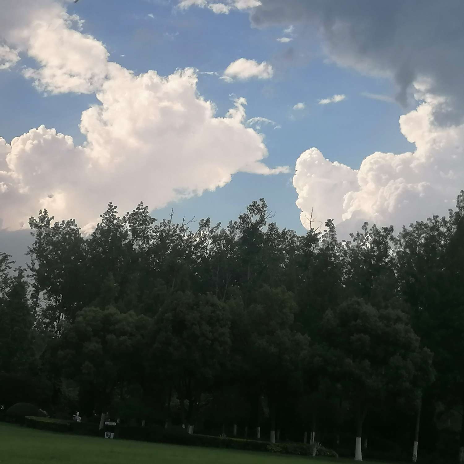 《你好，旧时光》