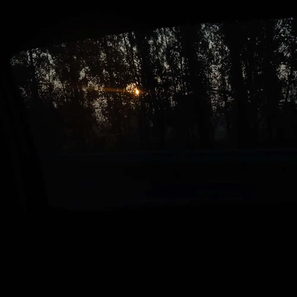 《开局地摊卖大力》