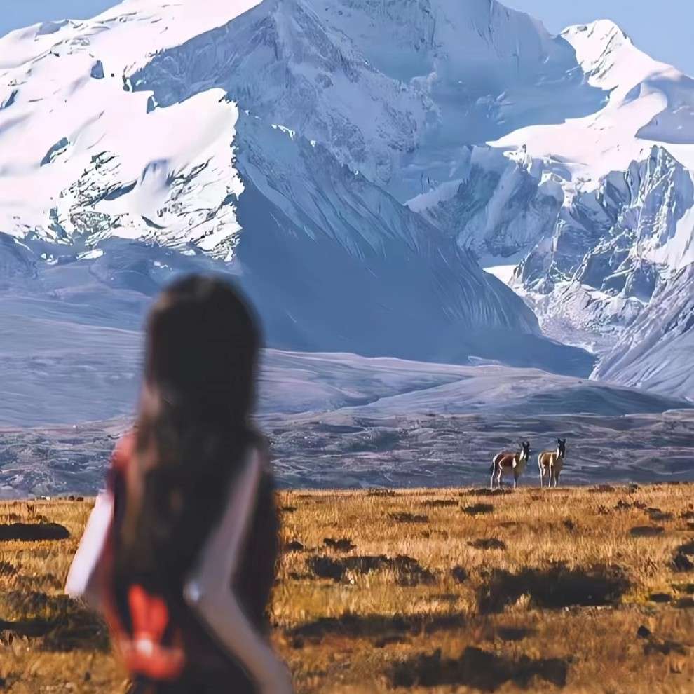 在这浩大的青春里，与我而言，人声鼎沸，我就在人群中，只偷看他一眼