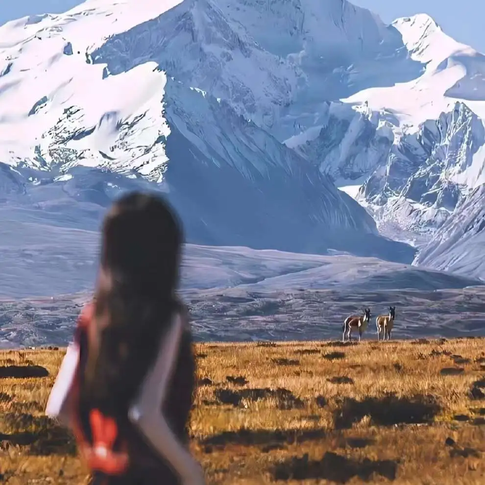 在这浩大的青春里，与我而言，人声鼎沸，我就在人群中，只偷看他一眼
