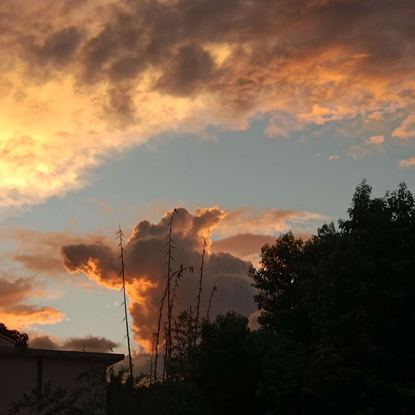 我为水瓶扛大旗