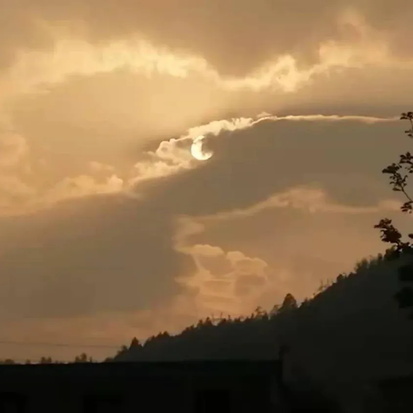 《我亲爱的法医小姐》