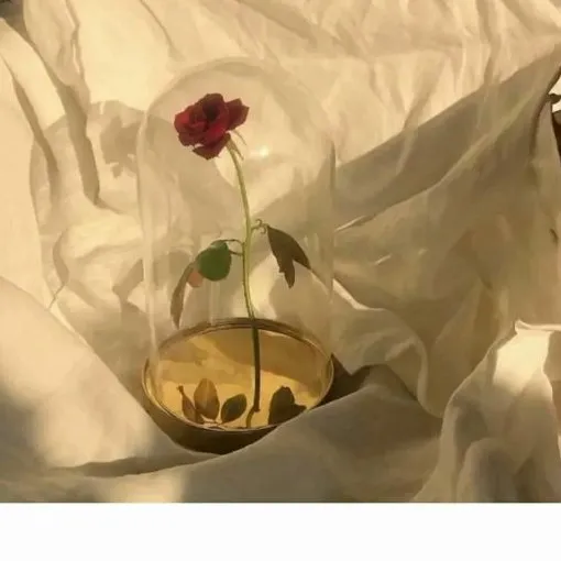 雪落长安时.的专辑