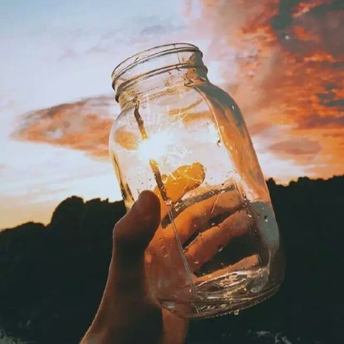 我在人间捡句子