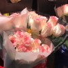 人生哲理