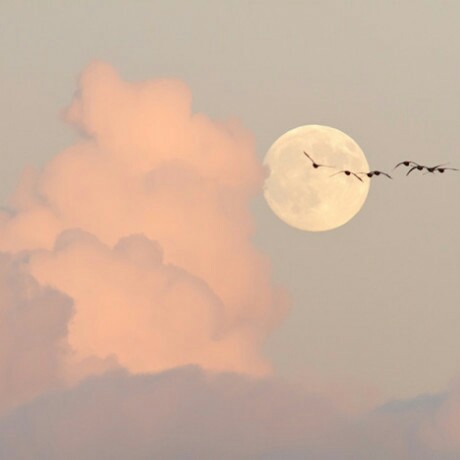 糖果盒里最后一颗