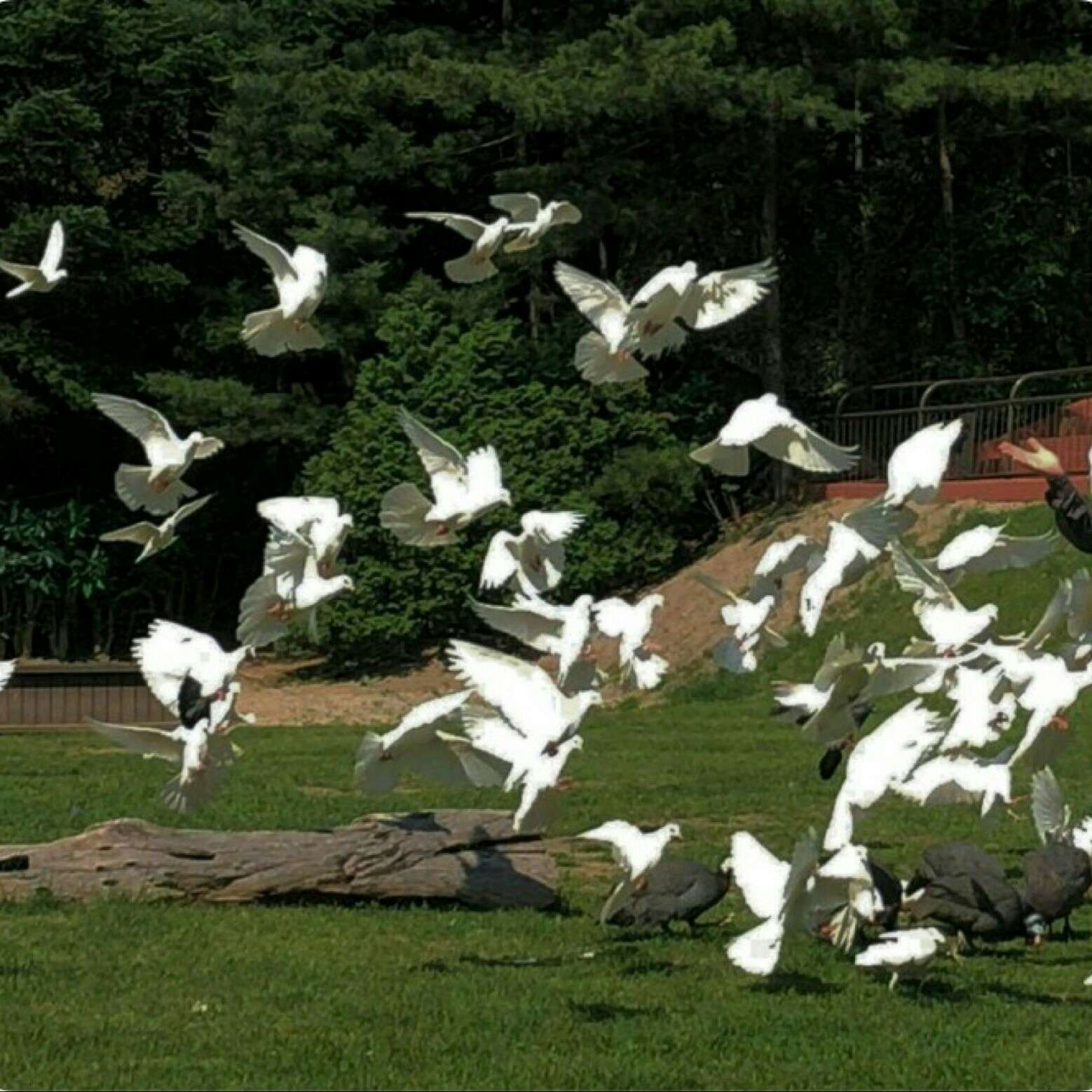 划破黑夜的那缕光