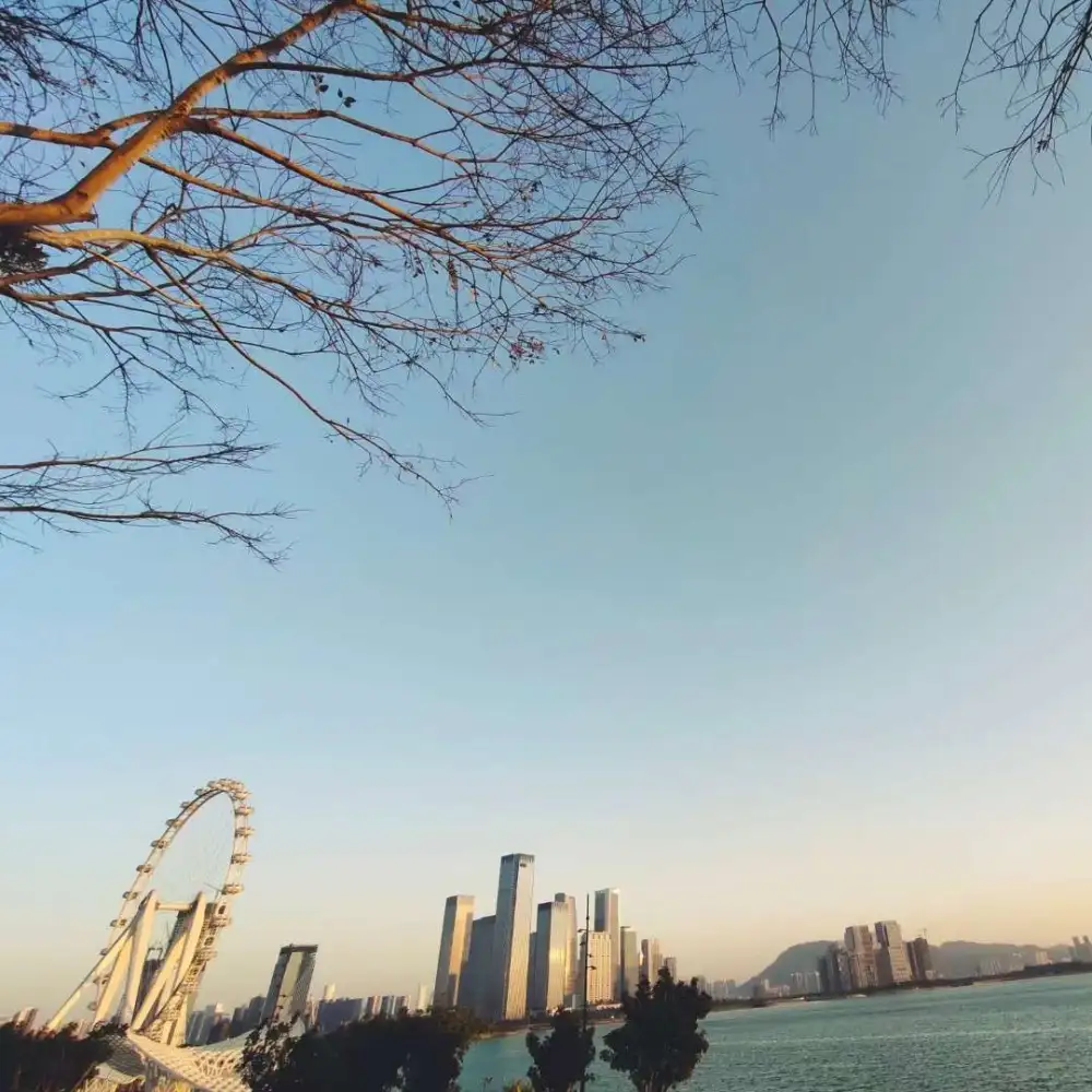 晴朗的专辑