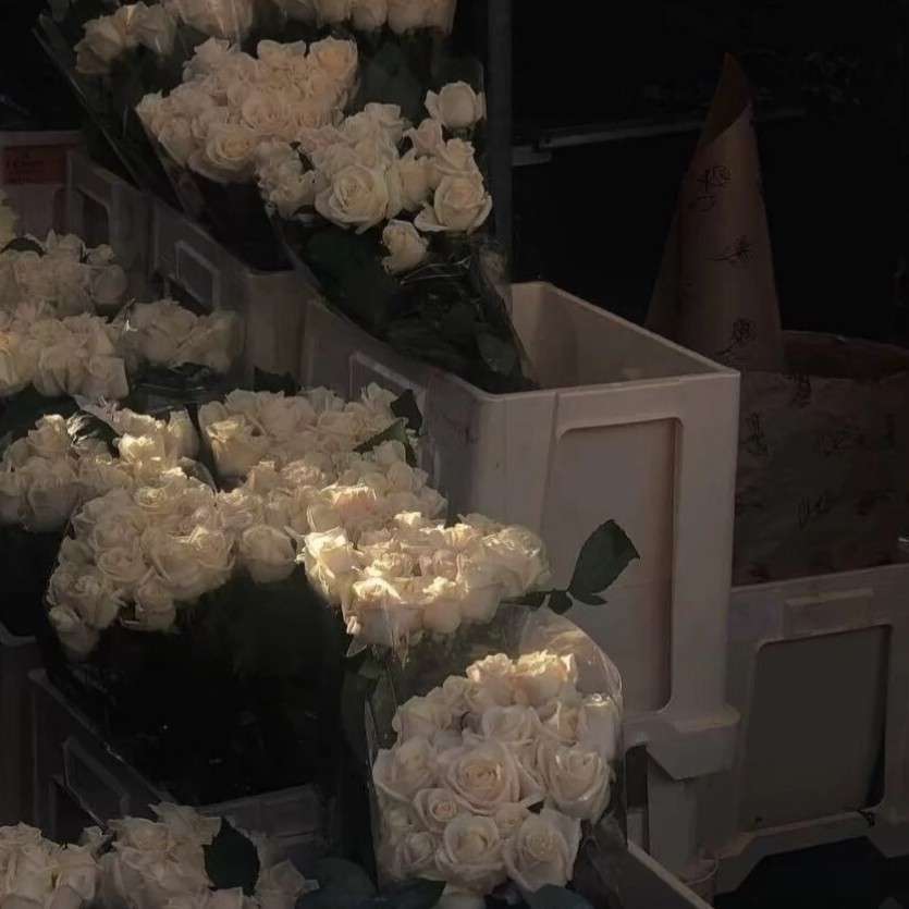 Heartbeat Romantic Gentle Sunset