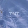 TNT