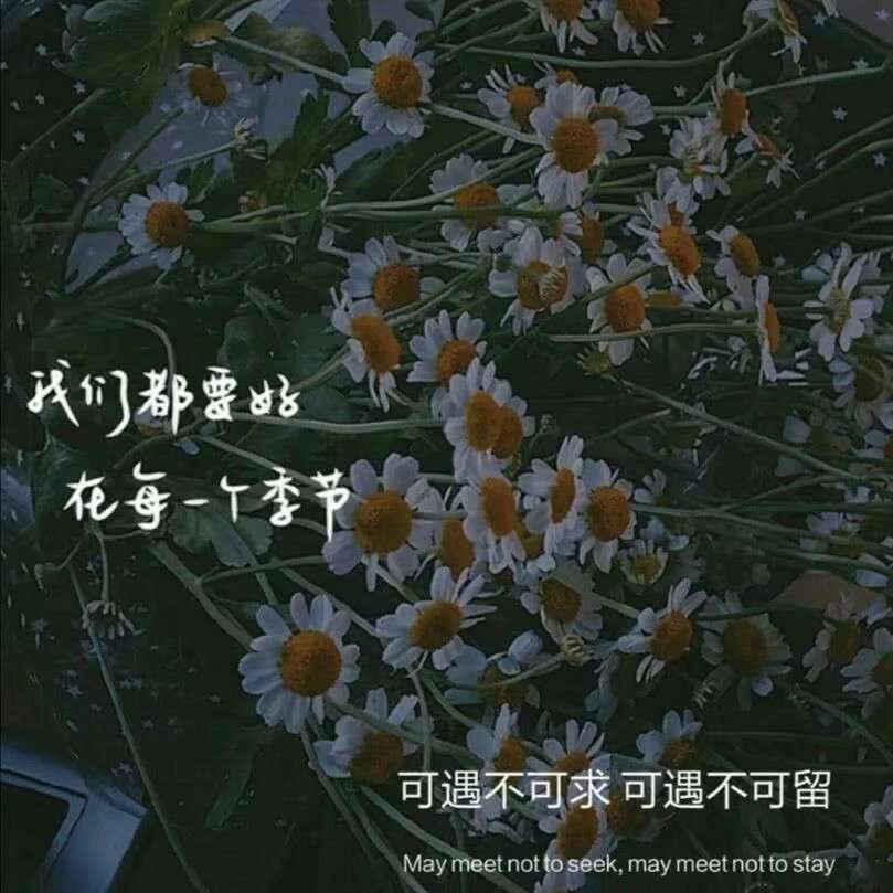 大约是爱