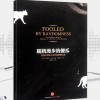 《随机漫步的傻瓜 》