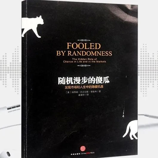 《随机漫步的傻瓜 》