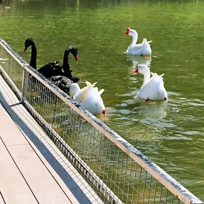 无形资产评估题目